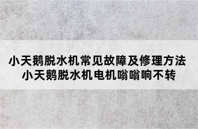 小天鹅脱水机常见故障及修理方法 小天鹅脱水机电机嗡嗡响不转